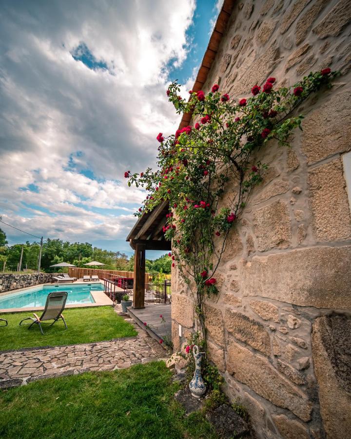 Casa Da Varzea - Serra Da Estrela Fornos de Algodres Ngoại thất bức ảnh
