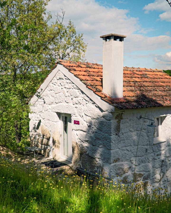 Casa Da Varzea - Serra Da Estrela Fornos de Algodres Ngoại thất bức ảnh