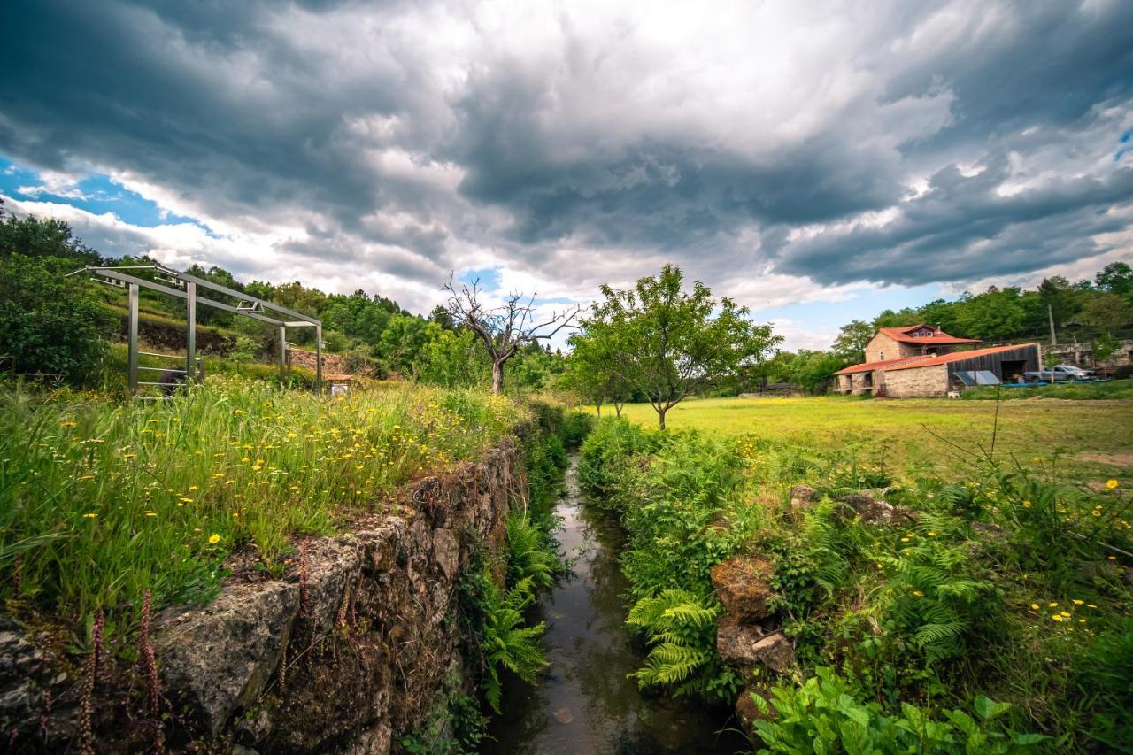 Casa Da Varzea - Serra Da Estrela Fornos de Algodres Ngoại thất bức ảnh